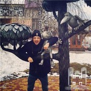 ���������� ��������, ������� ��������, 28