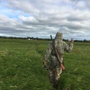 ���������� �������, ���� ������� El, 41 ���, ������������ ��� ������, ����� � ���������