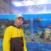 ���������� �����-���������, ���� ������� ������, 32 ����, ������������ ��� ������, ����� � ���������