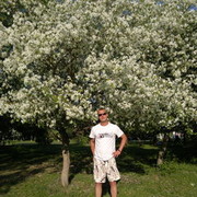 ���������� ������������, ���� ������� �����, 45 ���, ������������ ��� ������, ����� � ���������, c�������� ���������