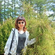  ,   , 40 ,   c 