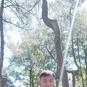  ,  Bek, 33
