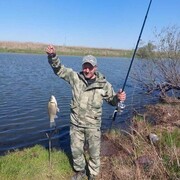 ���������� ������, ������� �������, 47