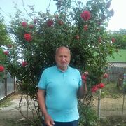 ���������� ��������, ���� ������� �������, 73 ����, ������������ ��� c�������� ���������, ���������