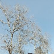 ���������� ������, ���� ������� �����, 31 ���, ������������ ��� ������, ����� � ���������