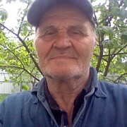 ���������� ����������, ���� ������� ��������, 81 ���, ������������ ��� ������, ����� � ���������