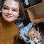 ���������� 's-Gravendeel, ���� ������� ����, 26 ���, ������������ ��� c�������� ���������