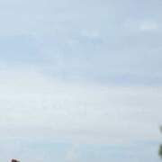  ,   , 36 ,   ,   
