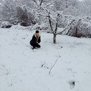 ���������� ������, ���� ������� �����, 52 ����, ������������ ��� ���������