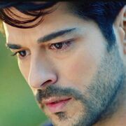 ���������� �������, ���� ������� ����, 36 ���, ������������ ��� ������, ����� � ���������