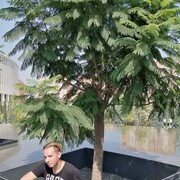 ���������� �������, ���� ������� ��, 26 ���, ������������ ��� ������, ����� � ���������