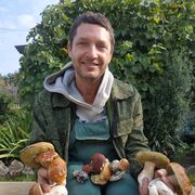 ���������� ������, ���� ������� �����, 55 ���, ������������ ��� ������, ����� � ���������