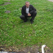  ,   , 52 ,   