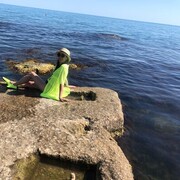 ���������� ������, ���� ������� ������, 49 ���, ������������ ��� ������, ����� � ���������, c�������� ���������, ���������