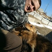  ,   Dmitry, 28 ,   ,   