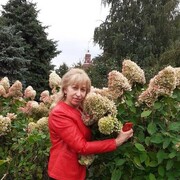 ���������� ������, ���� ������� ������, 56 ���, ������������ ��� ������, ����� � ���������, c�������� ���������