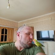  -,   , 47 ,   ,   