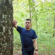 ���������� ������, ���� ������� ����������, 47 ���, ������������ ��� ������, ����� � ���������, c�������� ���������, ���������