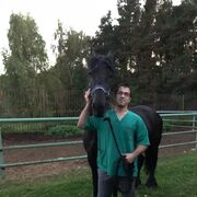 ���������� ����, ���� ������� �������, 29 ���, ������������ ��� ������, ����� � ���������