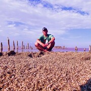 ���������� ����������, ���� ������� ��������, 37 ���, ������������ ��� ����� � ���������, c�������� ���������