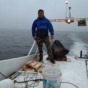 ���������� �����������, ���� ������� ������, 46 ���, ������������ ��� ������, ����� � ���������