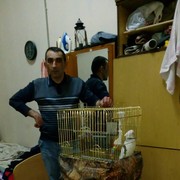  ,   , 41 ,   ,   , c 