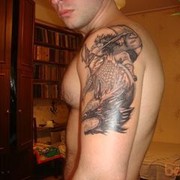  -,   , 41 ,   ,   , c 