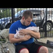 ���������� ������, ���� ������� ������, 28 ���, ������������ ��� ������, ����� � ���������