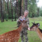 ���������� ������, ���� ������� �������, 54 ����, ������������ ��� ������, ����� � ���������