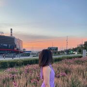 ���������� ������, ���� ������� ��������, 24 ����, ������������ ��� ������, ����� � ���������