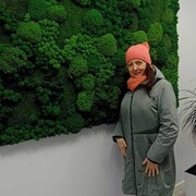 ���������� ������, ���� ������� �������, 58 ���, ������������ ��� ������, ����� � ���������, c�������� ���������, ���������