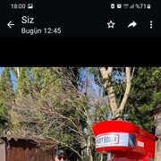 ���������� ���������, ���� ������� ������, 45 ���, ������������ ��� ������, ����� � ���������