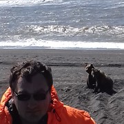 2016