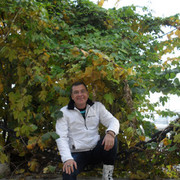  ,   , 53 ,   