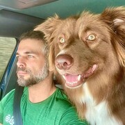 ���������� ������, ���� ������� ����, 38 ���, ������������ ��� ������, ����� � ���������, c�������� ���������, ���������