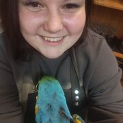 ���������� ����������, ���� ������� �������, 29 ���, ������������ ��� ����� � ���������, c�������� ���������