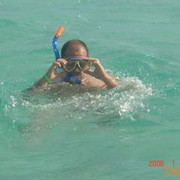 ���������� ������, ���� ������� Tom, 48 ���, ������������ ��� ������