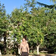 ���������� �����������, ���� ������� ����, 41 ���, ������������ ��� ������, ����� � ���������