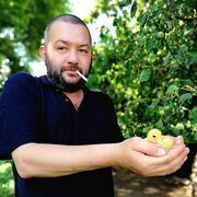 ���������� �������, ���� ������� ���������, 44 ����, ������������ ��� ������, ����� � ���������, c�������� ���������