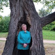  ,   , 54 ,   