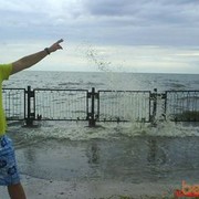 ���������� �����-���������, ���� ������� ����, 41 ���, ������������ ��� ����� � ���������, c�������� ���������