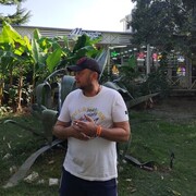  --,   , 50 ,     , c 