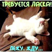 ���������� ���������, ���� ������� �������, 50 ���, ������������ ��� ������, ����� � ���������, c�������� ���������, ���������