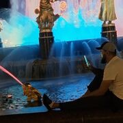 ���������� ������, ���� ������� Muhammadaziz, 27 ���, ������������ ��� ����� � ���������