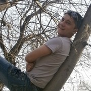 ���������� ������, ���� ������� ���������, 36 ���, ������������ ��� ����� � ���������, c�������� ���������