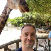 ���������� �������, ���� ������� ����, 45 ���, ������������ ��� c�������� ���������