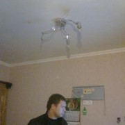 ���������� ������, ���� ������� ����, 43 ����, ������������ ��� ������