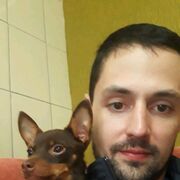 ���������� �����������, ���� ������� ������, 36 ���, ������������ ��� ������, ����� � ���������, c�������� ���������