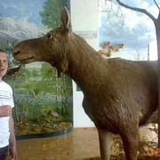  ,   , 35 ,   