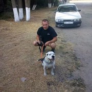  ,   , 51 ,   , 